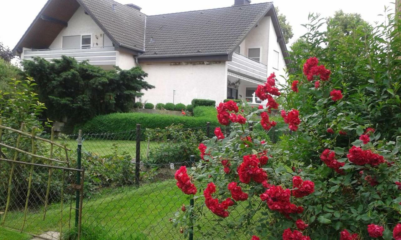 Ferienwohnung Raupe Фріцлар Екстер'єр фото